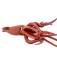 Safari ltd Giant Squid figuur