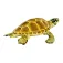 Safari ltd Figure Loggerhead Turtle