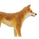 Safari ltd Dingo-Figur