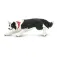 Safari Ltd Border Collie-figur