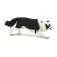 Safari ltd Border Collie-figur