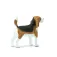 Safari ltd Beagle-figur