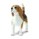 Safari ltd Beaglefigur