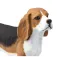 Safari ltd Beagle-figur