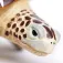 Safari ltd Sea Turtle figur