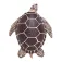 Safari ltd Sea Turtle figur