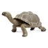 Safari ltd Tortoise 2 Figure