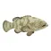Safari ltd Goliath Grouper figur