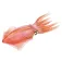 Safari ltd Reef Squid Rysunek
