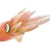 Safari ltd Reef Squid Rysunek