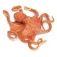 Safari ltd Octopus figur