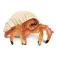 Safari ltd Hermit Crab figur