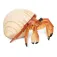 Safari ltd Hermit Crab figur