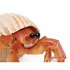 Safari ltd Chiffre Hermit Crab