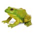 Safari ltd Amerikansk Bullfrog-figur