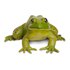 Safari ltd Amerikansk Bullfrog-figur