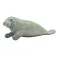 Safari ltd Manatee 그림