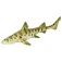 Safari ltd Leopard Shark Rysunek