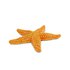 Safari ltd Starfish Sea Life Bary Aero
