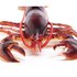 Safari ltd Karakter Maine Lobster