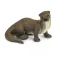 Safari Ltd Flododdere figur