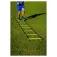 Powershot Agility Ladder