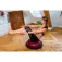 Powershot Bosu Balance træner