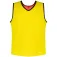 Powershot Training Reversible Trainingsvest