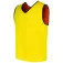 Powershot Training Reversible training bib