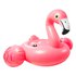 Intex Flamingo Isla Nl