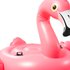 Intex Flamingo E Isla