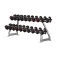 Softee Manuella Modern Dumbell Rack