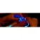 Hercules Pack de bracelets LED