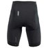 Q36.5 R1 Shorts
