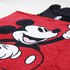 Cerda group Cotton Applications Mickey Poncho