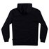 Quiksilver Square Me Up Hoodie