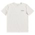 Quiksilver Picture Perfects Short Sleeve T-Shirt