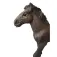 Bullyland Camargue Jaarling Figuur