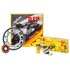 Ognibene 520-VX2 X Ring DID Kit Cadena Ducati Monster S2R/Dark 800cc 05-07