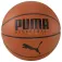 Puma Basketball