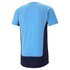 Puma Camiseta Manchester City FC Evostripe 20/21