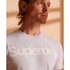 Superdry Core Logo NS Short Sleeve T-Shirt