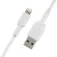 Belkin Cable de carga rápida Lightning a USB-A 0.15M
