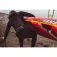 Spinlock Alto 75N 腰包