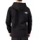 The north face Half Simple Dome hoodie