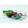 Sakura Popper Gemibug 4.4g 35 mm