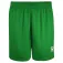 Kelme Global shorts