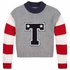 Tommy hilfiger Collegiate Sweater
