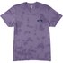 Billabong Arch Wave Tie Dye T-shirt Met Korte Mouwen