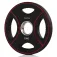 Gymstick Pro PU 5Kg Vægtskive